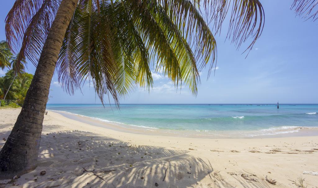 Lantana Barbados Condos Άγιος Ιάκωβος Δωμάτιο φωτογραφία